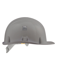 RAL : P430C