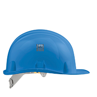 RAL : P2387C