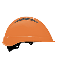 RAL : P165C