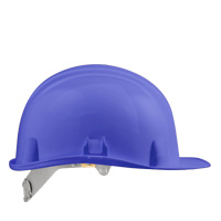 RAL : P2475C