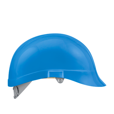 RAL : P2387C